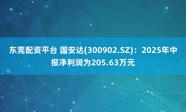 东莞配资平台 国安达(300902.SZ)：2025年中报净利润为205.63万元